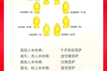 松柏木命属相解析：寻找内心的平衡与力量