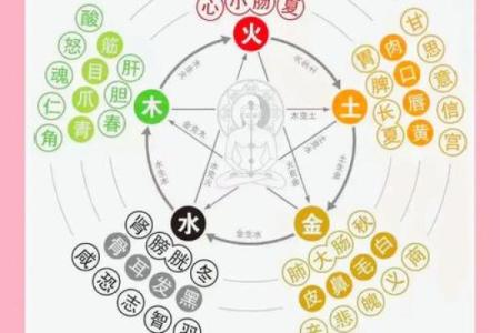 命里缺水的人如何规避忌讳，平衡五行之道