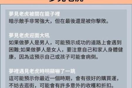 2024年虎宝宝命理解析：成长与运势的精彩旅程