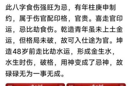 探秘木命：为什么它被称为“木命”及其蕴含的深意