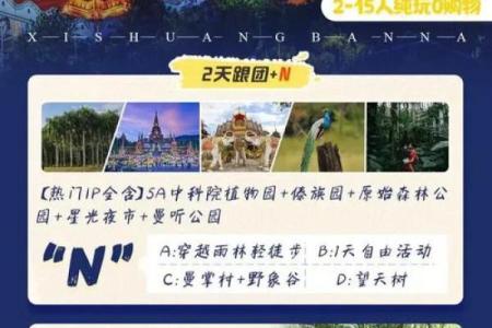 2000年农历25岁，揭晓揭示命运秘密的精彩旅程