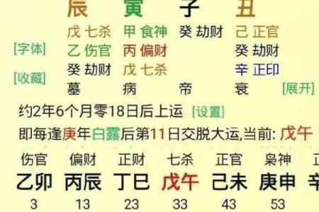 探寻乙丑庚辰辛巳命理的奥秘，解密命中注定的未来