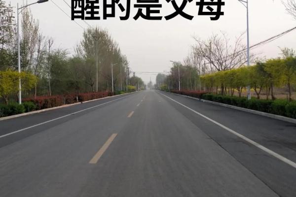 揭秘2022年新生儿的命运:你知道他们会成为什么样的人吗? 揭秘2022年新生儿的命运:你知道他们会成为什么样的人吗?