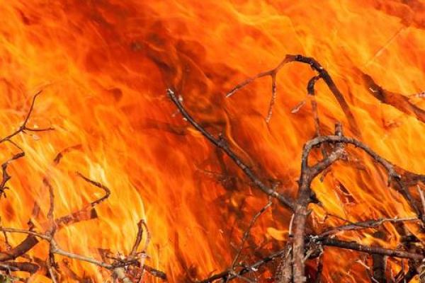 山头火命与适合搭配的命格分析:探寻人生中的最佳伴侣与发展机会 山头火命与适合搭配的命格分析:探寻人生中的最佳伴侣与发展机会