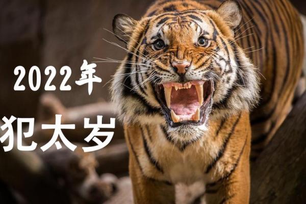 2022年:生肖虎年的人生转折与机遇展望 2022年:生肖虎年的人生转折与机遇展望