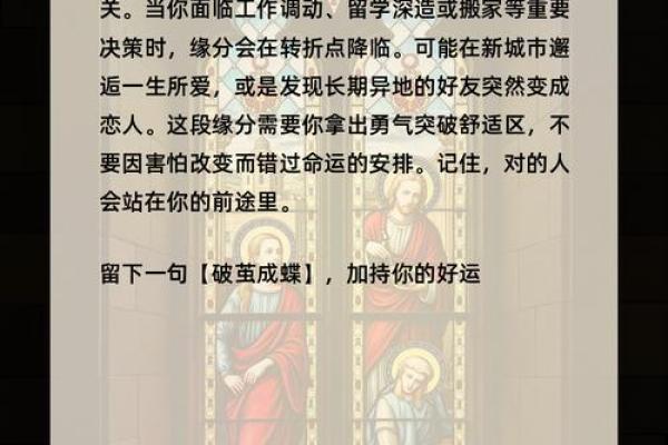 探寻命运的奥秘:上等命与富贵命的深刻区别 探寻命运的奥秘:上等命与富贵命的深刻区别