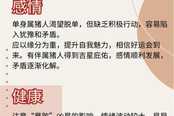 2024年猪年运势解析:如何抓住猪年机遇,发掘个人潜力! 2024年猪年运势解析:如何抓住猪年机遇,发掘个人潜力!