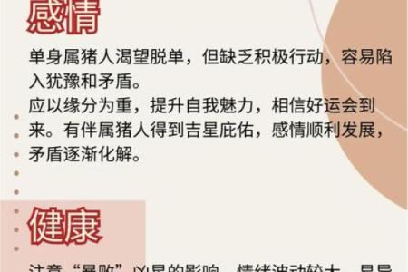 2024年猪年运势解析：如何抓住猪年机遇，发掘个人潜力！