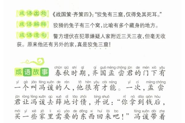 从兔子如虎，聊聊成语的趣味与智慧