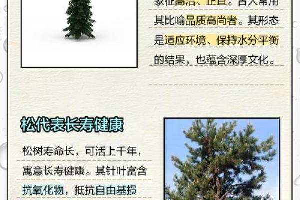 松柏木命人适合佩戴的饰品与吉祥物解析 松柏木命人适合佩戴的饰品与吉祥物解析