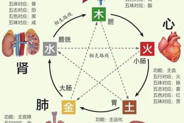火命水旺：命理与人生的关系探秘