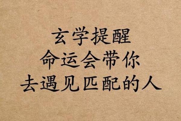命带贵人:探索命理中的贵人运与人生助力 命带贵人:探索命理中的贵人运与人生助力