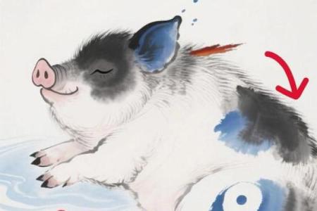 属猪狗的巡逻命理分析：揭开它们的性格与命运秘密