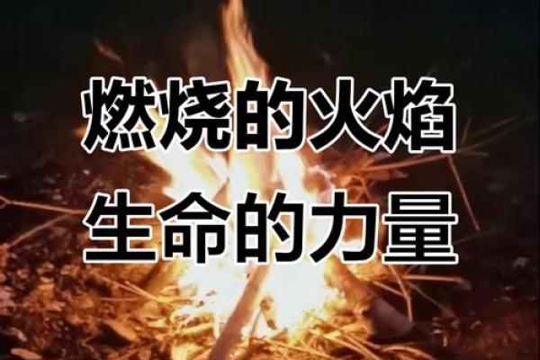 林中火命的人缺什么:探索内心的火焰与力量的平衡 林中火命的人缺什么:探索内心的火焰与力量的平衡