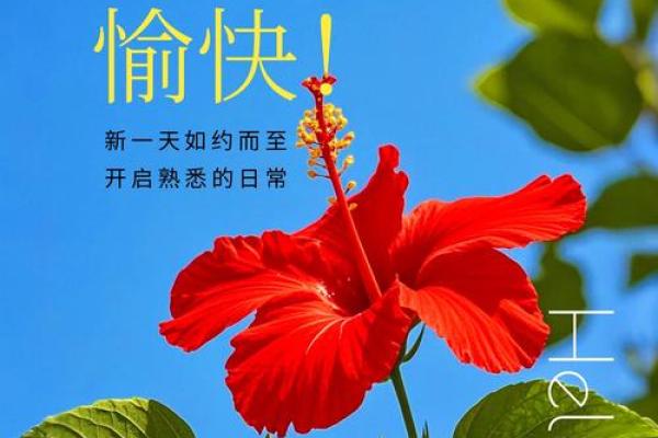 1994年腊月19日,那一天你我心中的暖意与祝福 1994年腊月19日,那一天你我心中的暖意与祝福