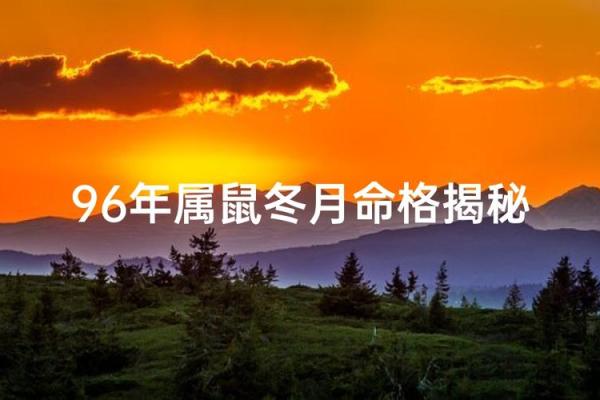 1996年属鼠人的命运解析与人生启示 1996年属鼠人的命运解析与人生启示