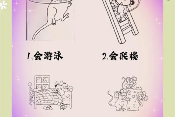 1996年属鼠人的命运解析与人生启示 1996年属鼠人的命运解析与人生启示