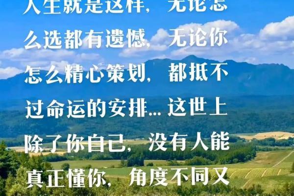 辞不赴命：理解与感悟人生的真正意义