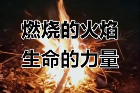 林中火命的人缺什么：探索内心的火焰与力量的平衡