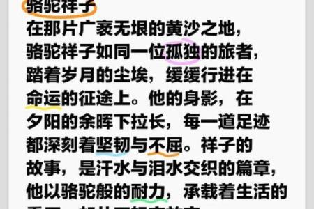 1943年：命运交织的转折点与时代的希望