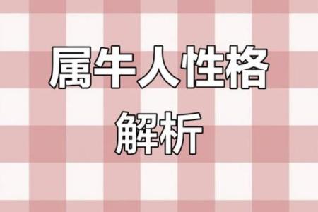 1962年属牛人的命运解析：稳健与坚持的精彩人生