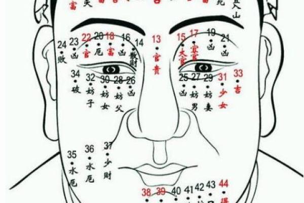 嘴巴子短的人命运如何?解析性格与运势的关联 嘴巴子短的人命运如何?解析性格与运势的关联