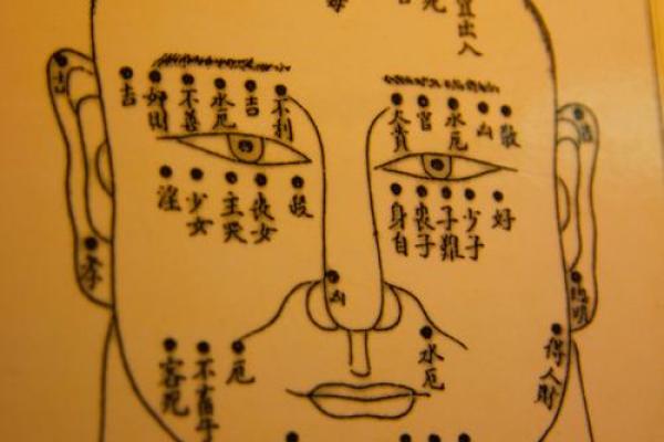 什么脸型决定你的命运？解析不同脸型背后的命理玄机！