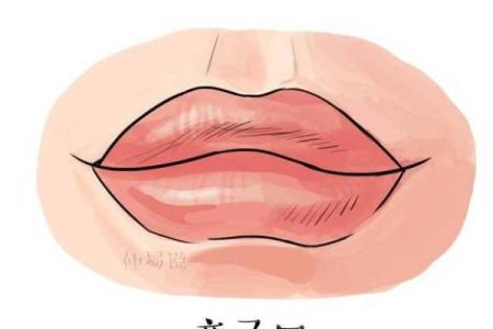 嘴巴子短的人命运如何？解析性格与运势的关联