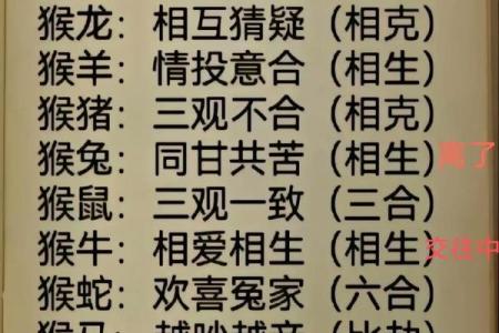 1992年水猴命的命运与性格分析：启迪与未来
