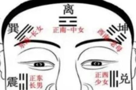 什么脸型决定你的命运？解析不同脸型背后的命理玄机！