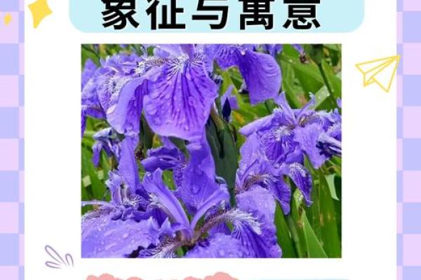 花朵的语言：探寻每一种花的独特寓意与象征意义