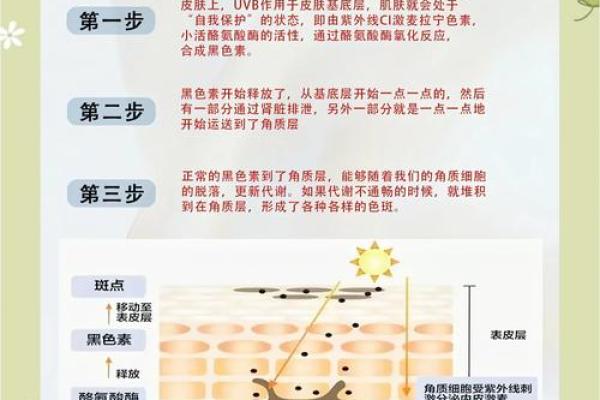 手脚黑身体白，命运与肤色的奥秘探讨