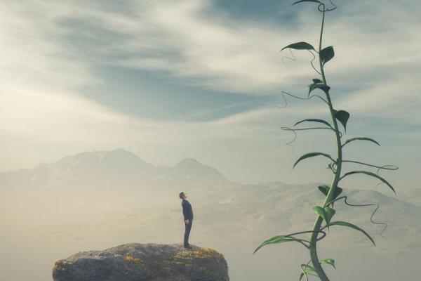 世间万物，最怕主人的命运与责任