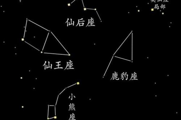 八月星座运势解析：十二星座的命运之路揭示