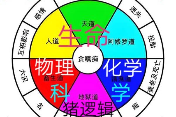 命盘数字的奥秘:解读你的生命密码与个性潜能 命盘数字的奥秘:解读你的生命密码与个性潜能