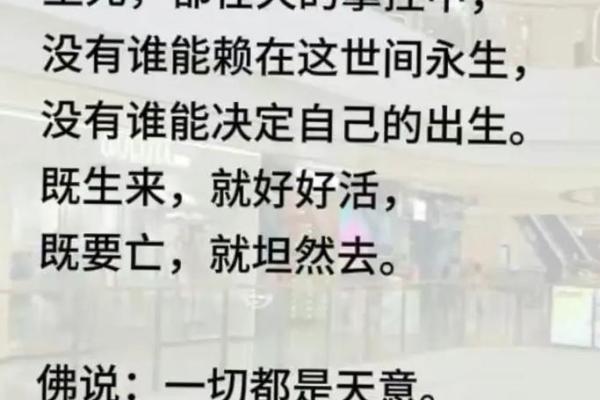 一命换三命背后的心理与社会原因探析 一命换三命背后的心理与社会原因探析