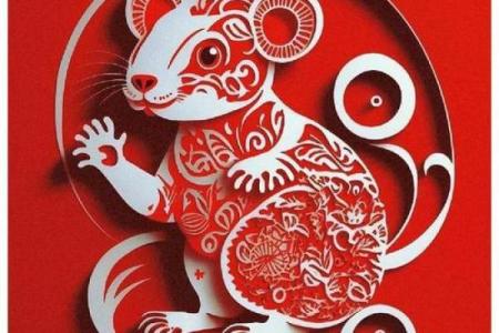 老鼠的命运：1972年出生的人生之旅与特点解析