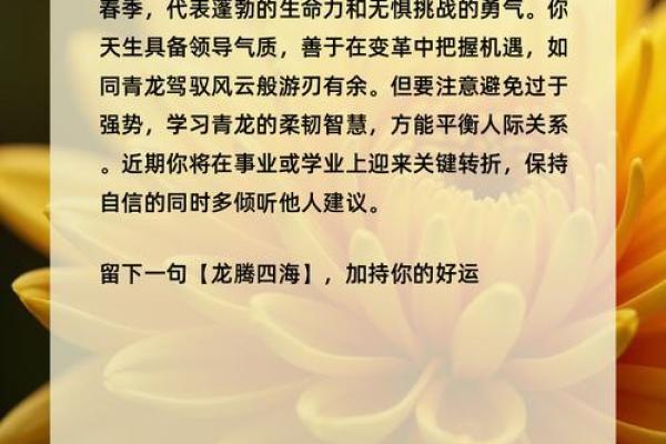 玄武命格:解读生命的神秘象征与个人命运 玄武命格:解读生命的神秘象征与个人命运