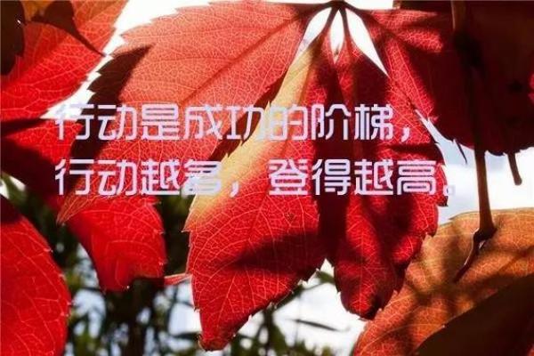 九六正月十六:命运的启示与人生的选择 九六正月十六:命运的启示与人生的选择