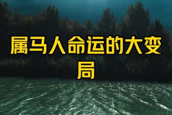 1990年属马人的命运解析：挑战与机遇并存的精彩人生