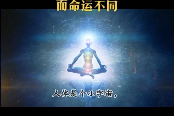 探索27岁属什么命：人生的转折点与命运的牵引