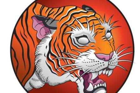 1998年出生的人命运解析：属虎的探索与成长之路