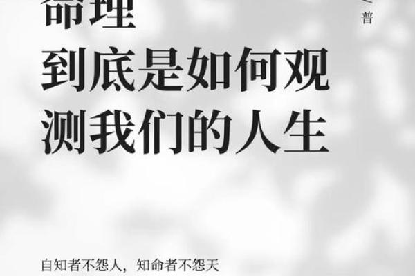 全偏无正命理分析：揭示人生轨迹的无形力量与智慧