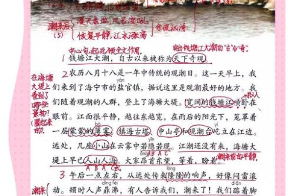 “赶海”的新意：追逐潮汐下的奇妙乐趣与成长经历