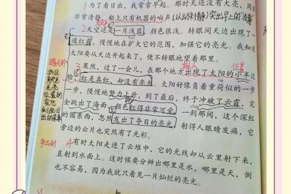 “赶海”的新意：追逐潮汐下的奇妙乐趣与成长经历