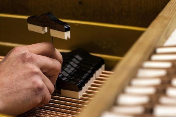 1886年：时代变革中的科技与文化交织之旅