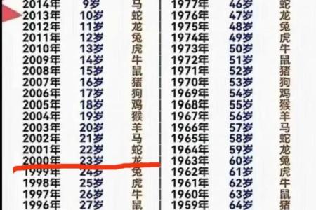 2000年属龙人的命运解析：匠心独具的龙年人生