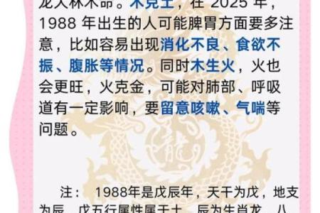 2014年龙年出生者属什么命：解读五行八字的奥秘与人生轨迹
