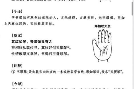 解读女生手相：哪些纹路预示着美好命运？