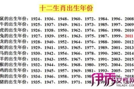 2005年出生的生肖命运解析：如何掌握自己的未来与人生方向